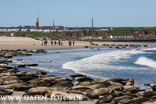 Helgoland 58