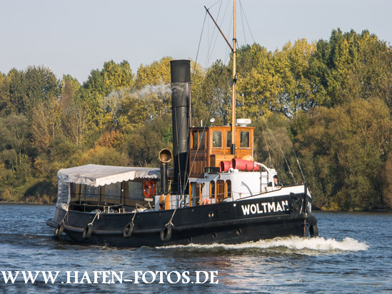 Schlepper Woltmann 2